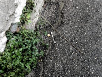 Siringa in terra, a Perugia in Via Jacopone Da Todi