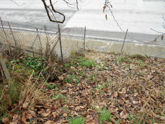 Ponte San Giovanni, Tombini e cimitero manifesti ripuli prontamente