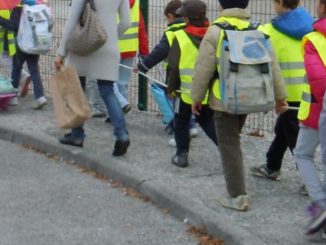 Piedibus scolastico, M5S: "La giunta lo lascia nel cassetto"