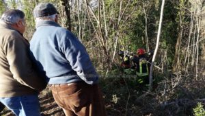 Gli cade pianta addosso, un morto a Castiglione della Valle