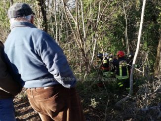 Gli cade pianta addosso, un morto a Castiglione della Valle