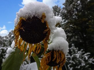 Maltempo Umbria, arrivano i primi fiocchi di neve