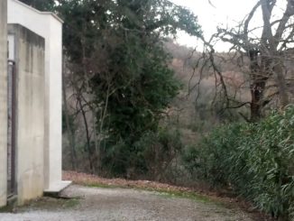 Droga e prostituzione al cimitero di Ponte Valleceppi, luogo diventato pericoloso