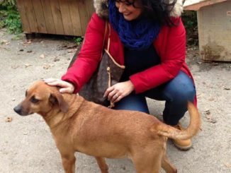 Nuove aree attrezzate per cani, approvato odg di Mori