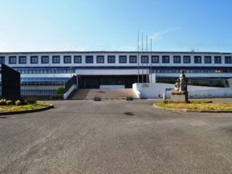 Turbativa d'asta, Carabinieri e Forestale arrestano tre imprenditori