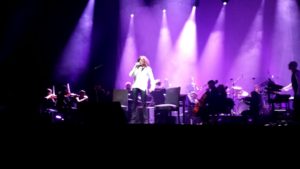 alice-palaevangelisti