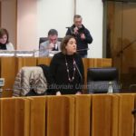 Defr, Marini, "E realistico non un libro dei sogni"