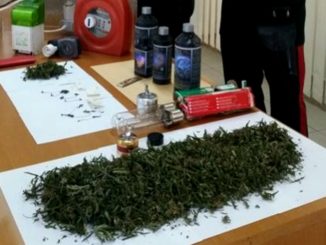 Famiglia ternana coltiva marijuana in casa