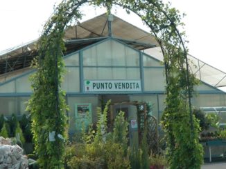 Umbraflor è un ente utile o no? Carbonari fa "le pulci" alla gestione