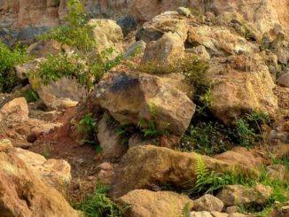 Strada 252 Fratticiola Selvatica, cittadini presentano petizione popolare
