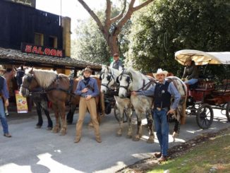 città della domenica, perugia