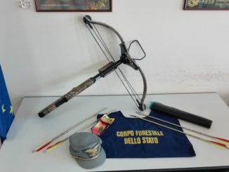 Cacciava cinghiali con la balestra, denunciato a Terni