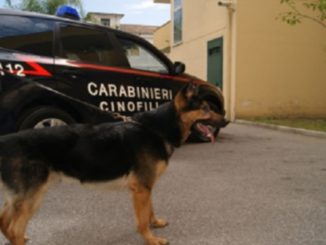 Traffico droga, Carabinieri arrestano due stranieri, 1 kg e 200gr di cocaina