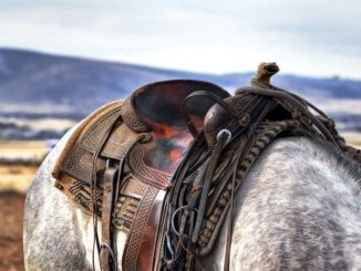 “Wild West Story”, a Spello dal 2 al 5 giugno 2016