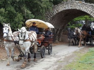 Città della domenica - raduno carrozze
