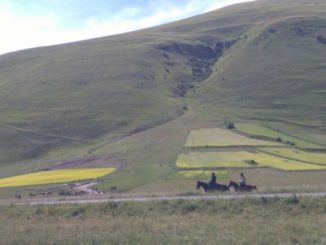 Pian Grande di Castelluccio diventa un immenso parcheggio