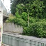 Perugia prigioniera di erba e piante, il degrado della periferia