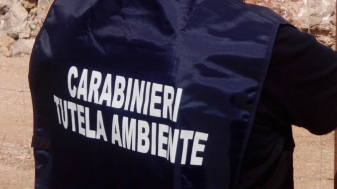 Discarica abusiva a Castiglione del Lago, sequestrata area dal NOE, 8 indagati