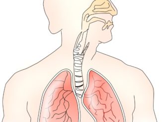 Carta di Nocera Umbra per riconoscimento diritti malato respiratorio