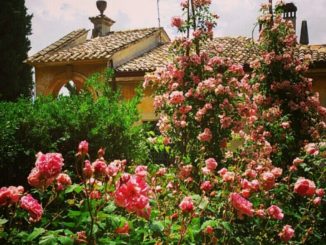i giorni delle rose
