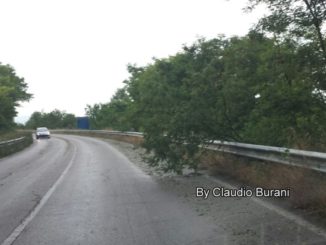 Maltempo al Trasimeno, alberi schiantati e auto in difficoltà