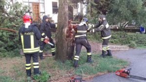 Maltempo Bastia Umbria, cipresso si schianta vicino a una casa
