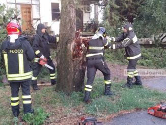 Maltempo Bastia Umbria, cipresso si schianta vicino a una casa