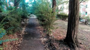 A Perugia gli “Angeli del verde urbano”, ancora una volta hanno fatto il miracolo