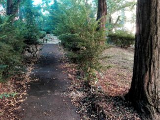 A Perugia gli “Angeli del verde urbano”, ancora una volta hanno fatto il miracolo