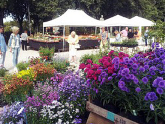 Inaugurata la 14° edizione del Perugia Flower Show