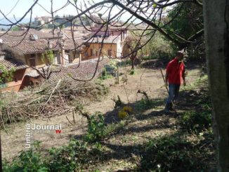 Perugia, la Caritas diocesana plaude all’associazione “Orto Sole”