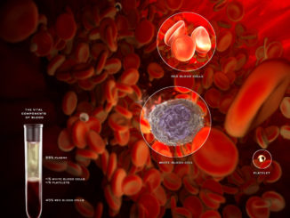 Malattie genetiche, a Perugia progetto studio laboratorio "Globulo rosso"