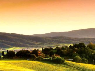 Giornata mondiale dell’ambiente, le iniziative organizzate dall’assessorato regionale