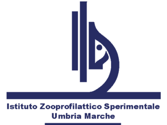 izsum