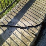 Terremoto, lesionato il ponte di Cannara, sindaco Gareggia dispone la chiusura FOTO