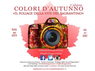 colori d'autunno, strada del sagrantino