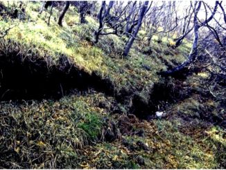 Terremoto 30 ottobre, scarpate di faglia di 15 chilometri sul Monte Vettore