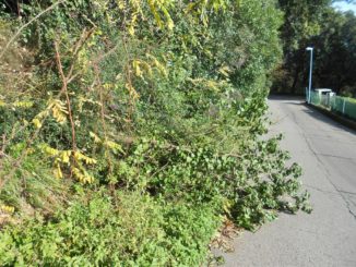 Strada di Montevile a Ponte San Giovanni una gincana di strettoie