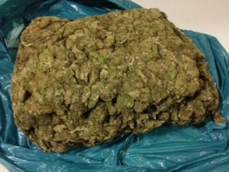 In manette 57enne, aveva armi, munizioni e un chilo di marijuana