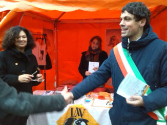 Colonie Feline, evento dedicato ai gatti nella città di Perugia