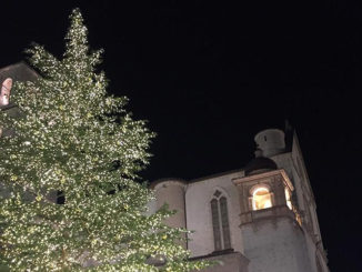 Accensione albero Assisi, Basilica di san Francesco
