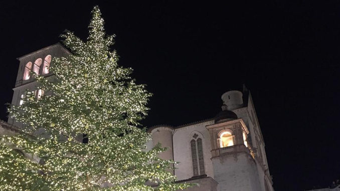 Accensione albero Assisi, Basilica di san Francesco