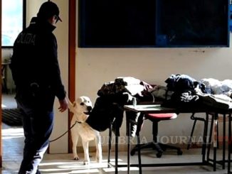 Cani poliziotto Questura di Perugia a caccia di droga nelle scuole