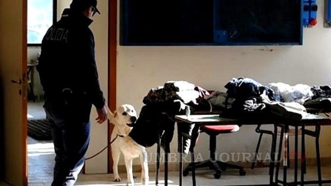 Cani poliziotto Questura di Perugia a caccia di droga nelle scuole