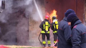 Incendio ricovero animali a Torgiano, muoiono 2 bovini da esposizione