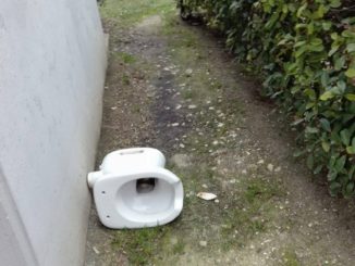Distrutti bagni pubblici dei Giardini di viale Marconi, tornano i vandali a Bastia