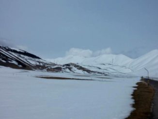 Desertificazione, cornacchie e cinghiali, ecco cosa rimane di Castelluccio da Norcia