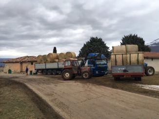 Terremoto Norcia, un piccolo grande contributo da parte dei bambini di Prato