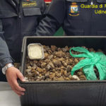 Sequestrati 20 chili di tartufi provenienti dalla Romania e diretti in Umbria