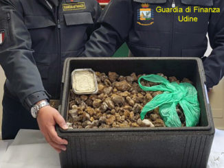 Sequestrati 20 chili di tartufi provenienti dalla Romania e diretti in Umbria